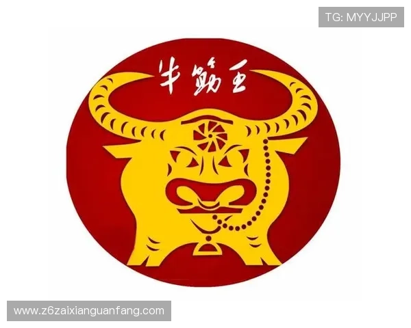 用户对尊龙凯时官方z6的真实体验与反馈分享